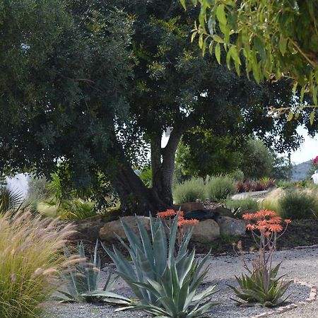 Quinta Luz Do Sol Bed & Breakfast Moncarapacho Exterior foto